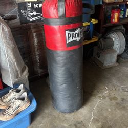 4 Foot Punching Bag 