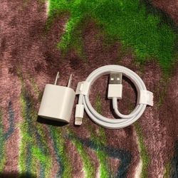 iPhone Charger