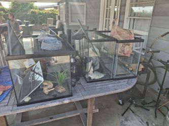 Aquariums & Reptile Enclosure $50.0]