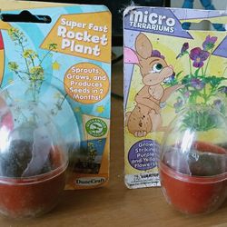 Micro Terrariums Johnny Jump Up Plant Kit And Super Fast Rocket Plant Kit 