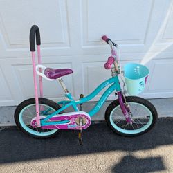 Schwinn Elm Bike For Kids
