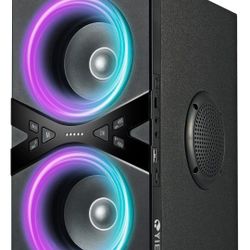 Yier 80 Watt Party Speaker