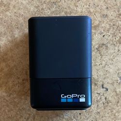 GoPro Duo Battery 