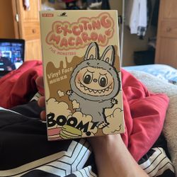 Exciting Macaroons Labubu Lychee Berry 