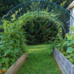 TRELLIS PANELS TUNNEL 