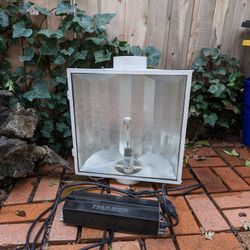 Grow Light With A Ballast 1000W