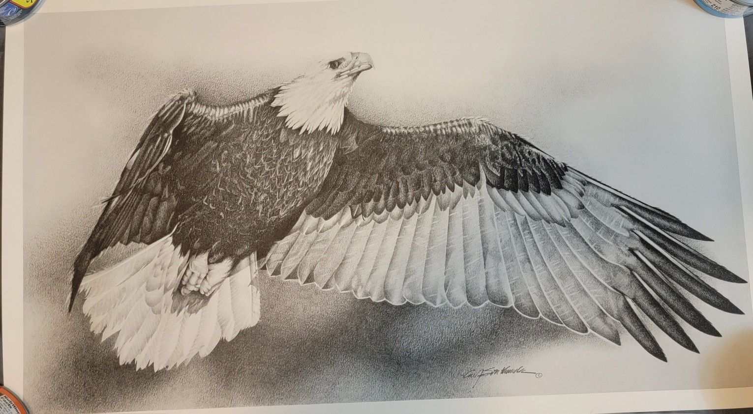 Eagle in flight
