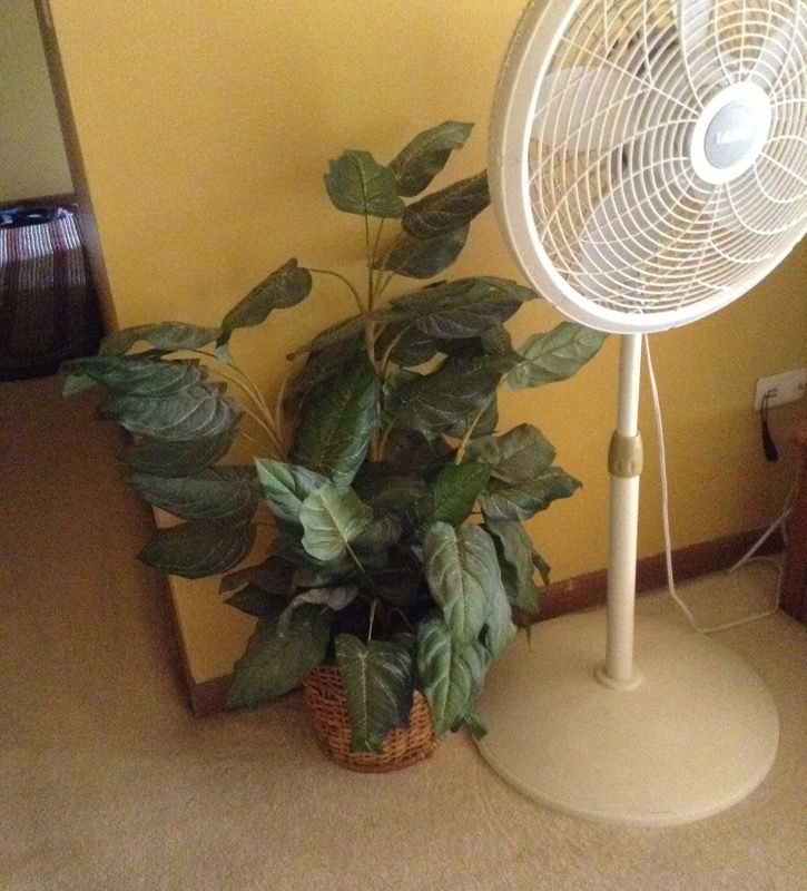 Fake plant