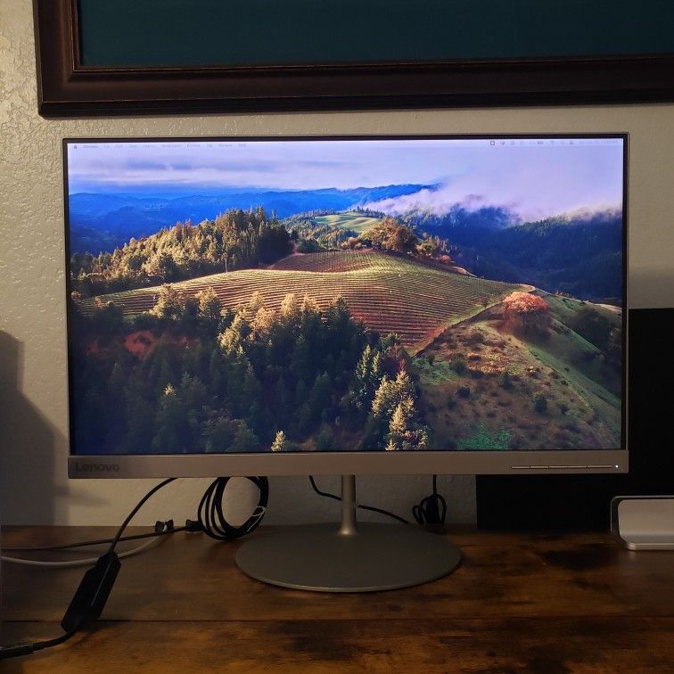 Lenovo L24q-20 23.8" QHD Monitor - Excellent Condition