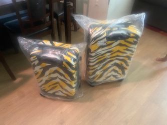 2-piece luggage set (sizes 20 & 24)