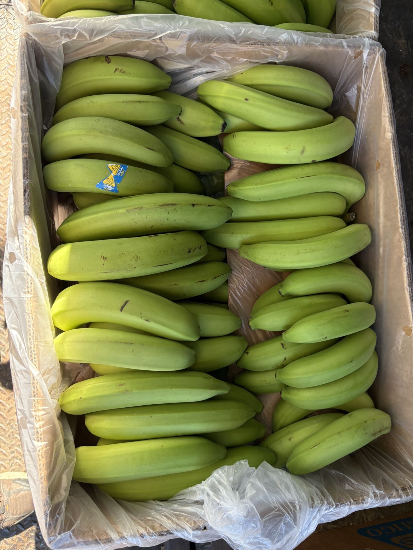 Organic Bananas 