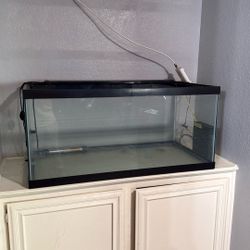40 Gallon Tank