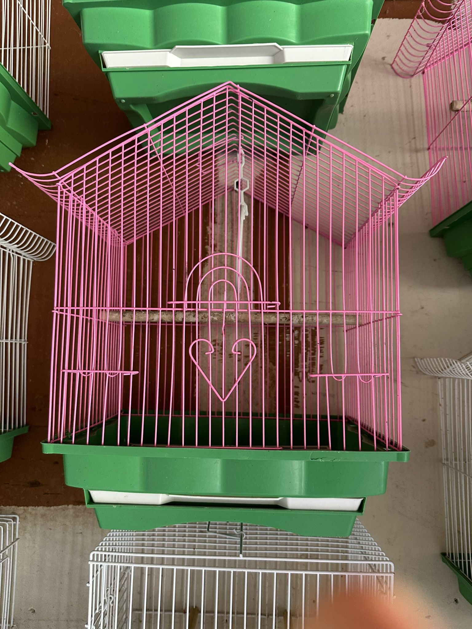 Bird Cage