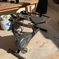 Recumbent Exercise Bike 