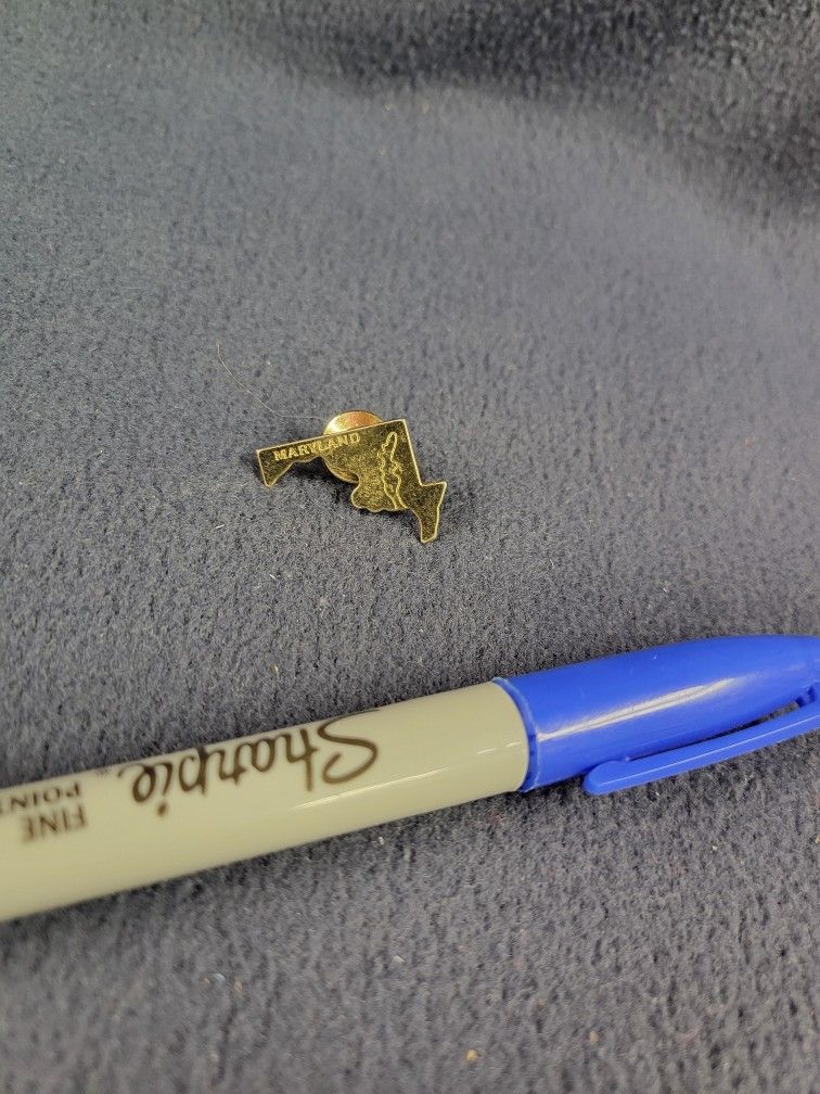Avon, Maryland State Pin