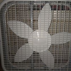 Box FAN WHITE