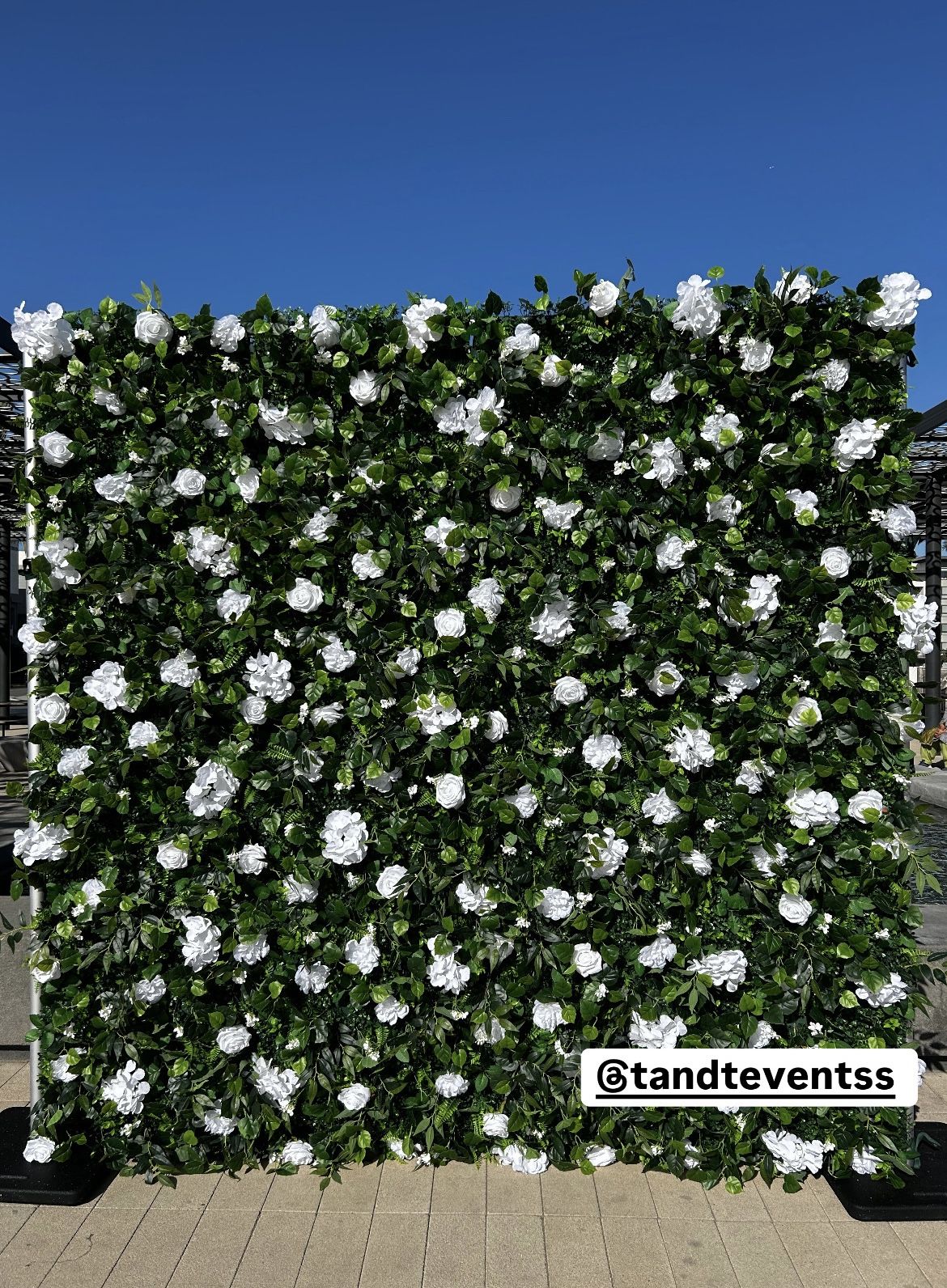 Flower Wall Backdrop