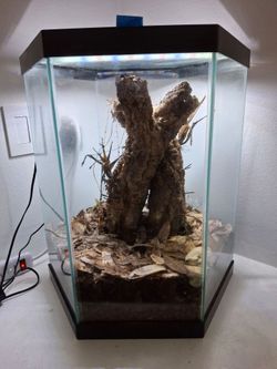 Hexagon glass terrarium