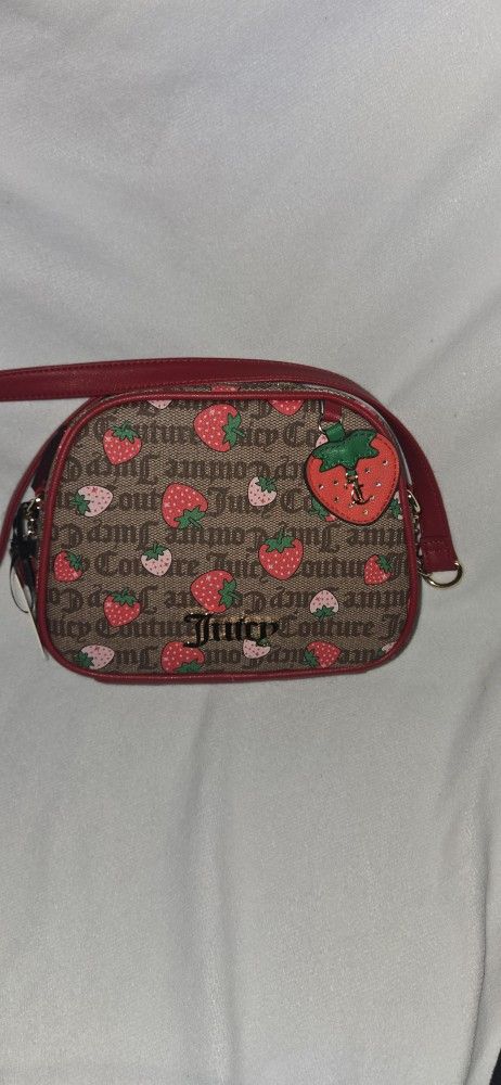 Juicy Strawberry Brown Purse
