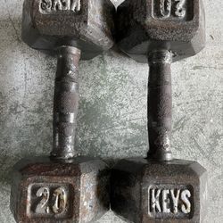20lb Used Dumbbell Pair