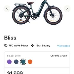 Electric Bike