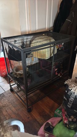 Move out Sale - Cage on wheels