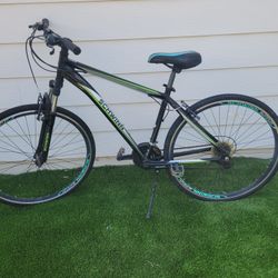 Schwinn Bike