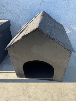 Free dog home