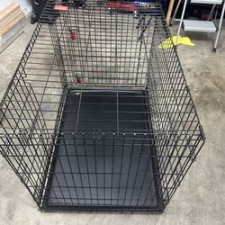 Kong Dog Kennel