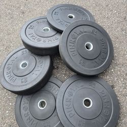 Weight Bumper Plates 