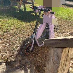 Eletric Scooter