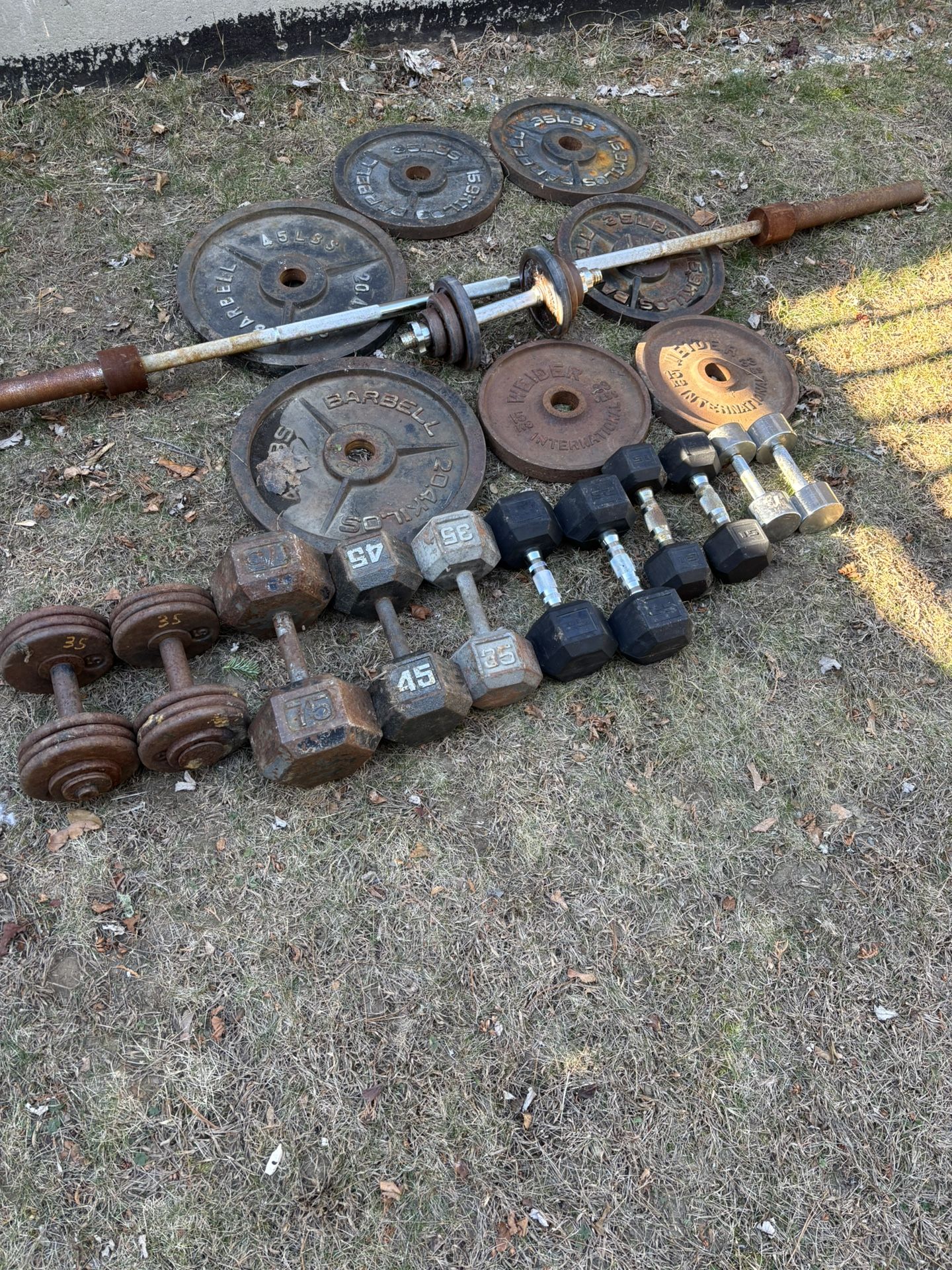 Gym weights