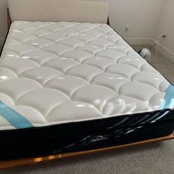 Dreamcloud, The DreamCloud, Queen, Like New