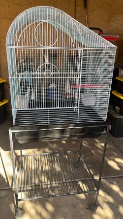 Bird Cage