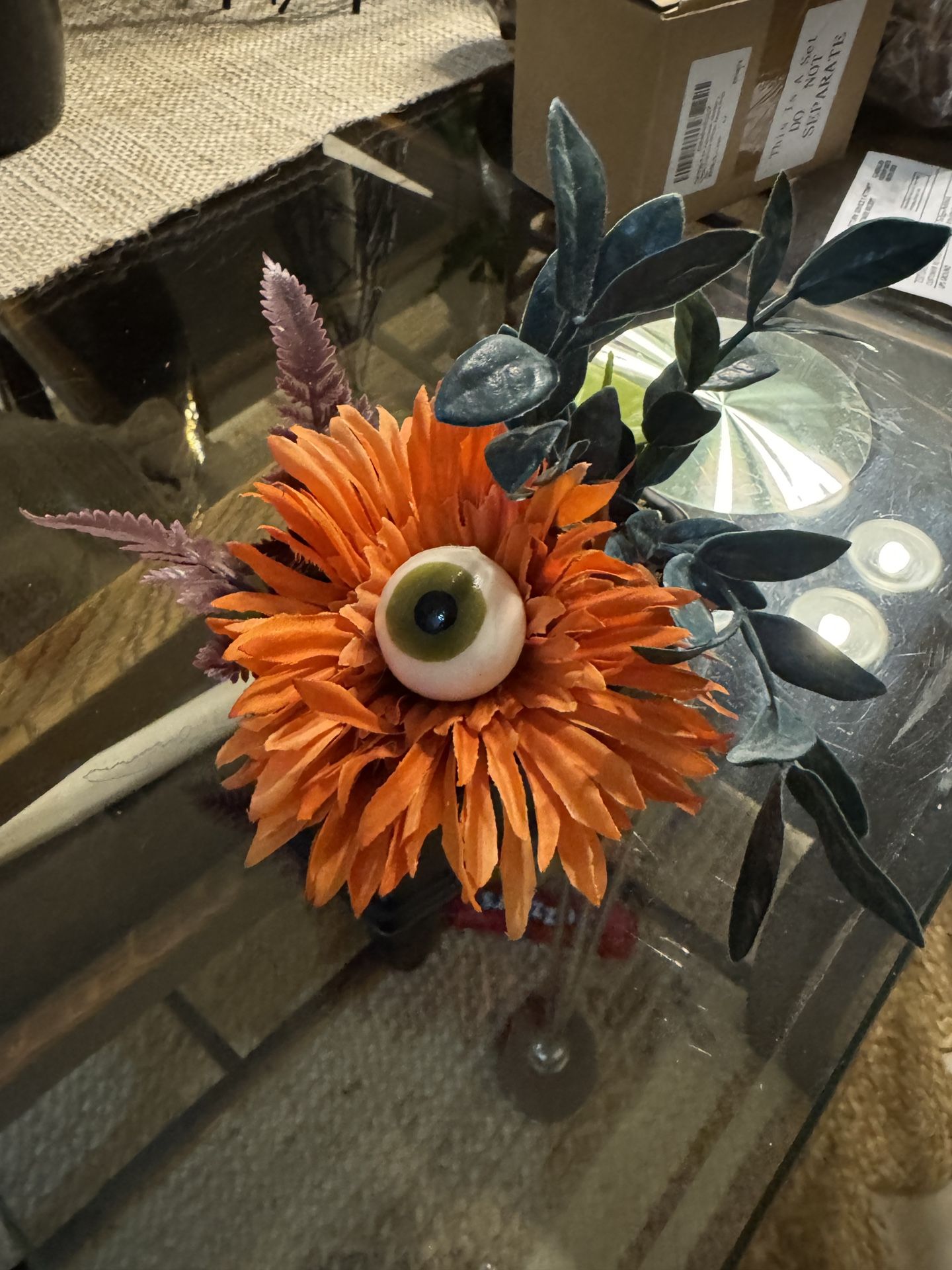 Halloween Plant