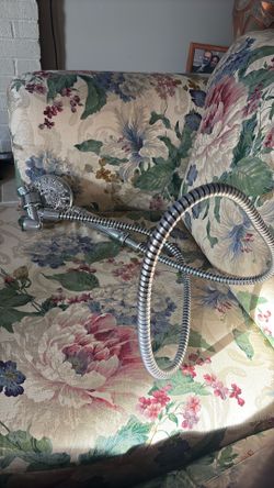 Moen shower head