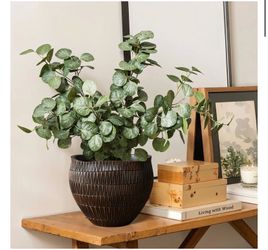 Artificial Eucalyptus Plant in Dark Textured Pot