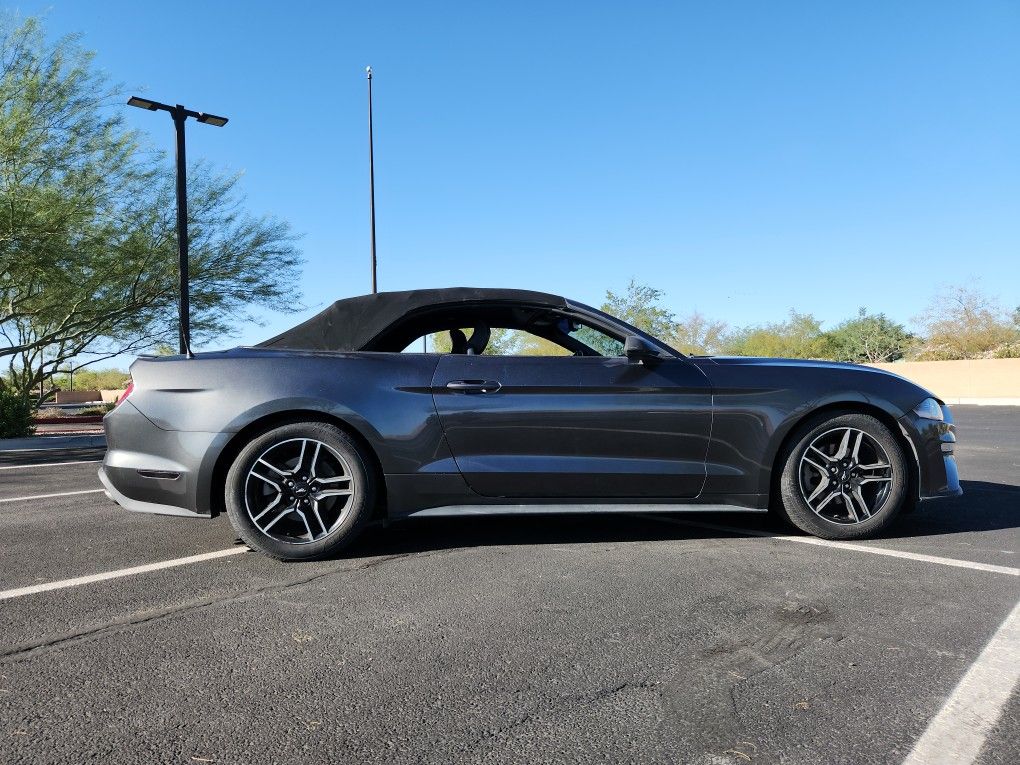 2019 Ford Mustang