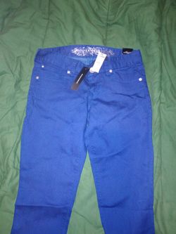 Express Jean Jegging - Stella Regular Fit Low Rise- Size 2, Blue 