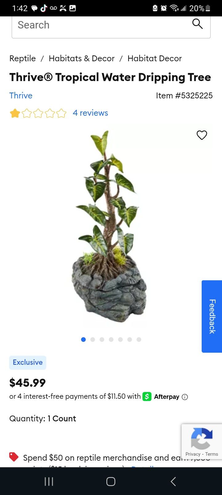 Water Drippung Tree