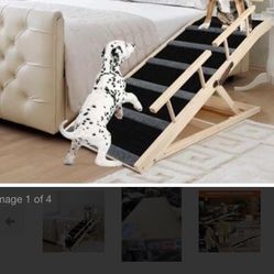 Doggie Ramp