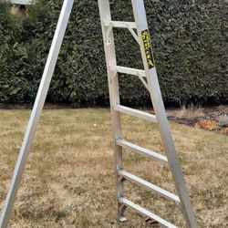 8ft Gardening Orchard Ladder