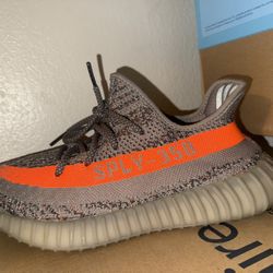 Yeezys 