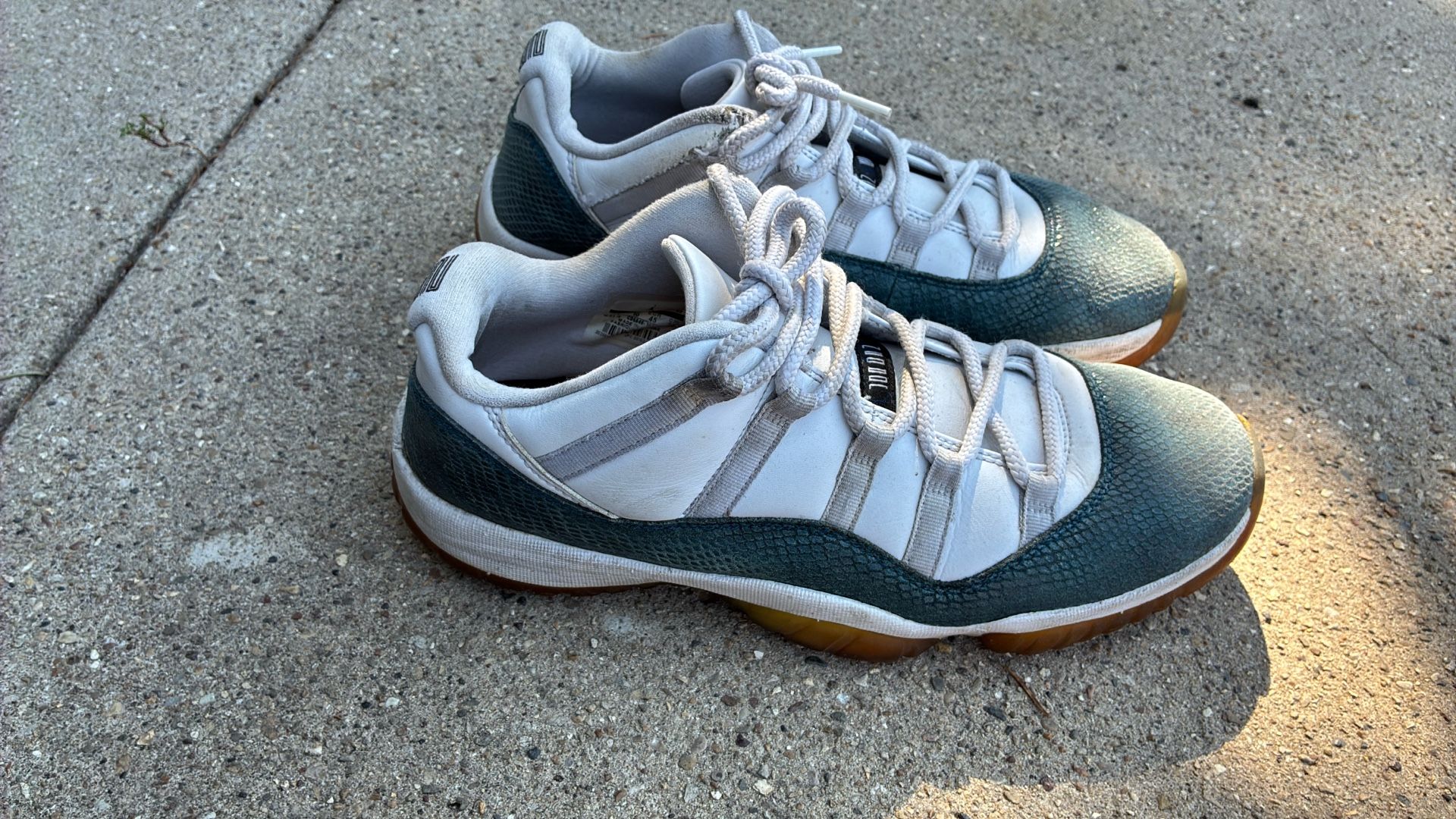 Jordan 11 Snakeskin Size 9