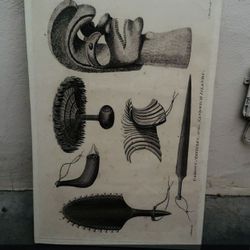 Home Decore / Canvas