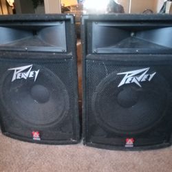 Peavey TLS-5 Passive PA - DJ Speaker Pair