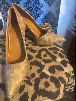 Gorgeous coach high heels
