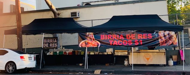 CARPA 10 X 20