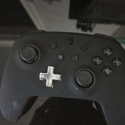 Switch Controller Just Sitting Here Made Sure It Works