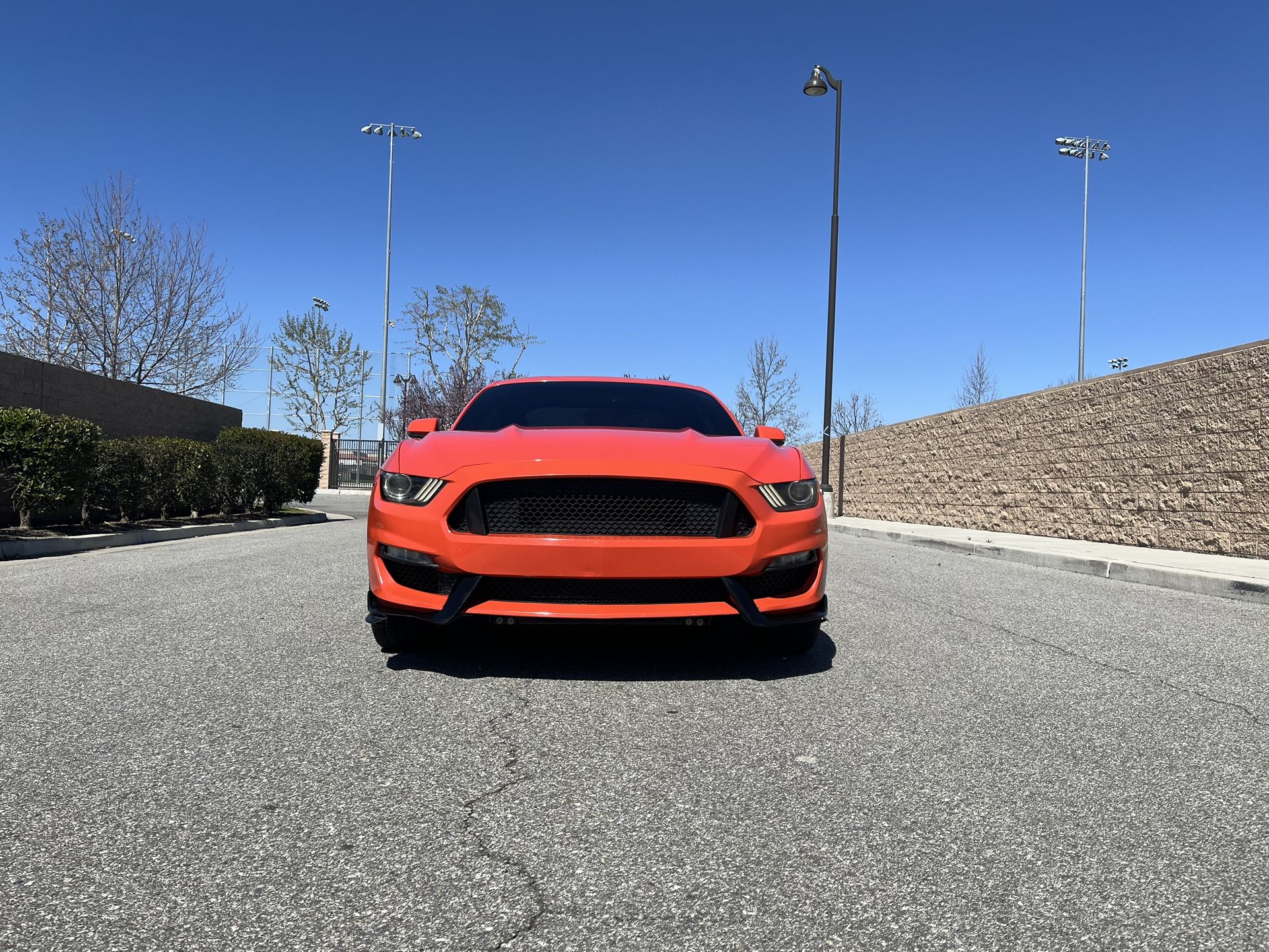 2015 Ford Mustang